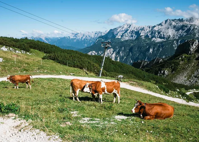Henri Hotel Garmisch-Partenkirchen